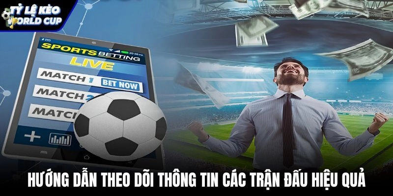 Cách tra cứu thông tin soi kèo world cup 2026 nhanh chóng